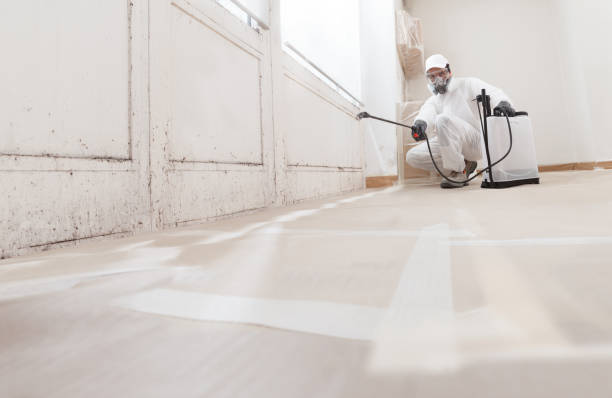 24/7 Emergency Basement Mold Remediation experts in Island Park, NY